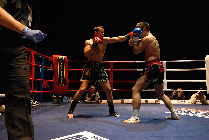 Halovic vs. �enk�r