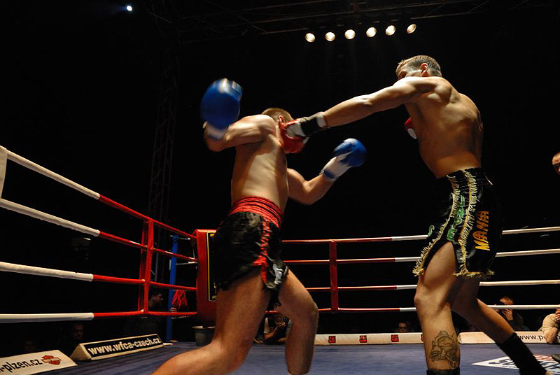 Halovic vs. �enk�r