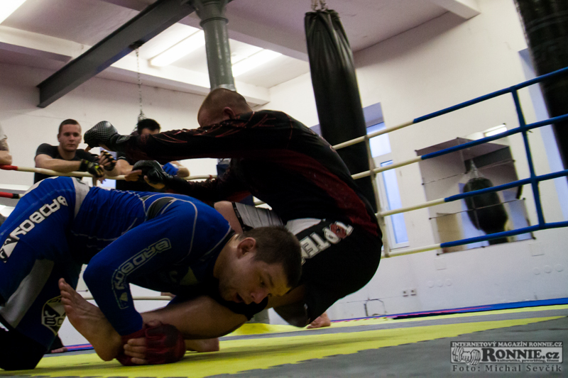 Tr�nink bojovn�k� v MMA Brno