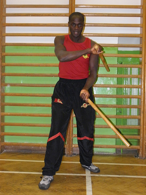 EBMAS - Emin Boztepe Martial Arts System