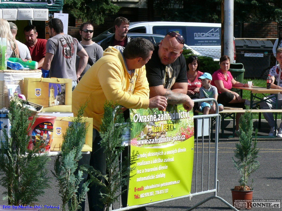 Teplick� Strongestman 2013