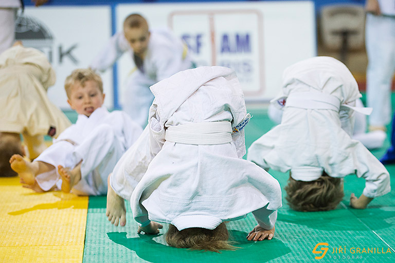 Judo European Open Men Prague 2014