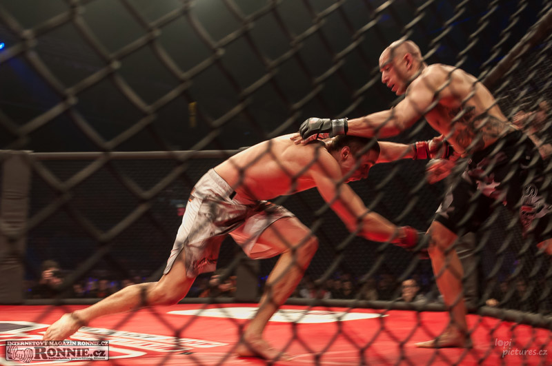 MMAA Arena 3