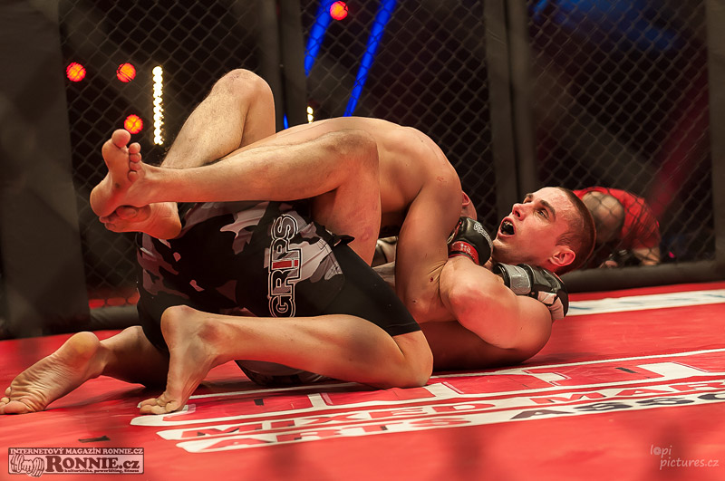 MMAA Arena 3