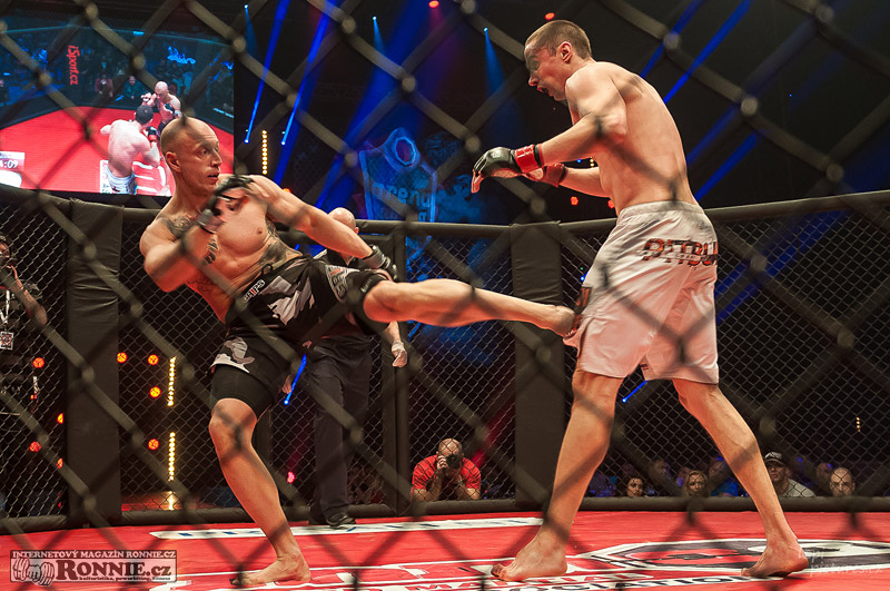 MMAA Arena 3