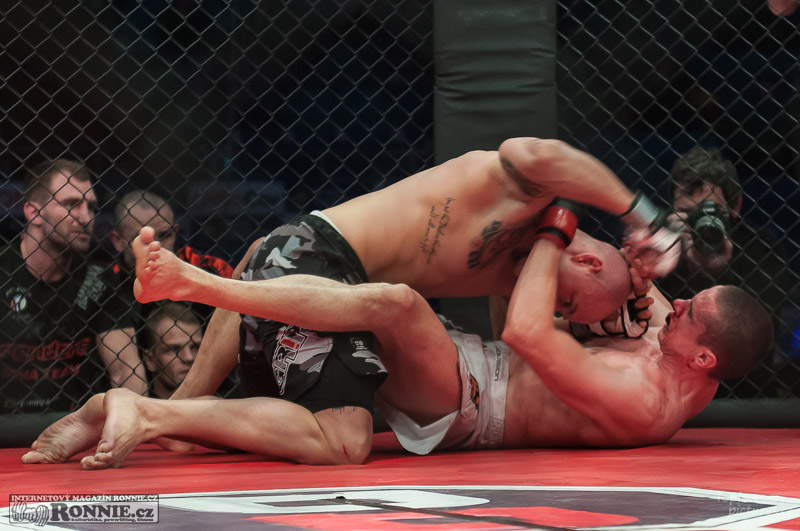 MMAA Arena 3