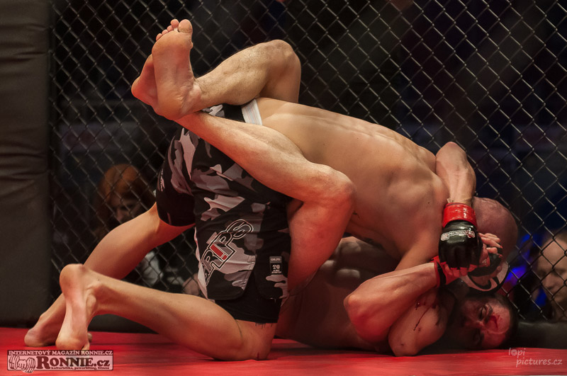 MMAA Arena 3