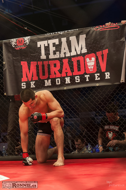 MMAA Arena 3