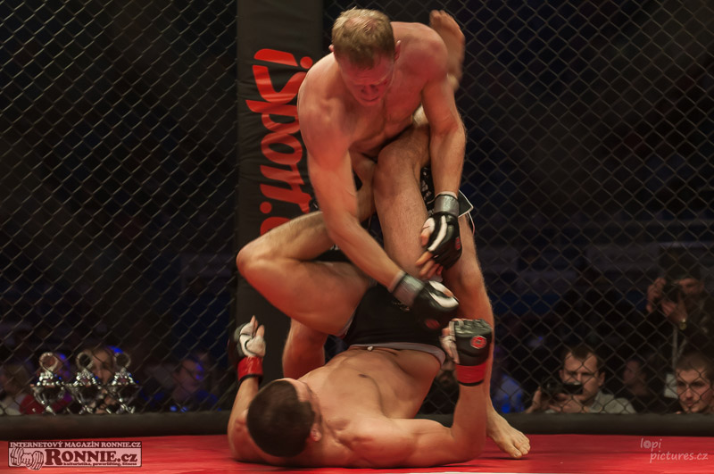 MMAA Arena 3
