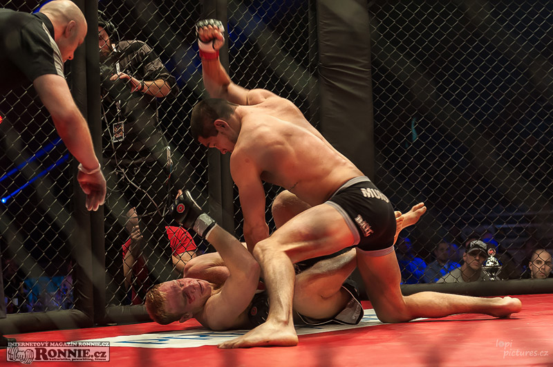 MMAA Arena 3