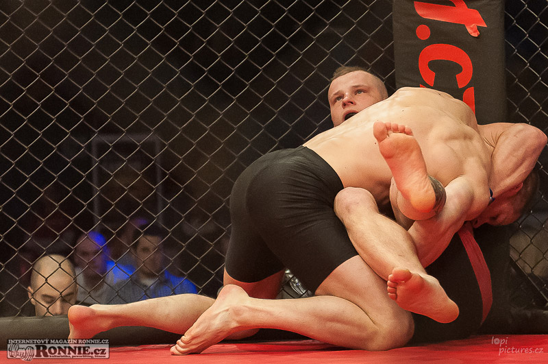 MMAA Arena 3