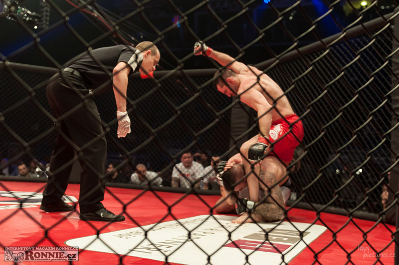 MMAA Arena 3