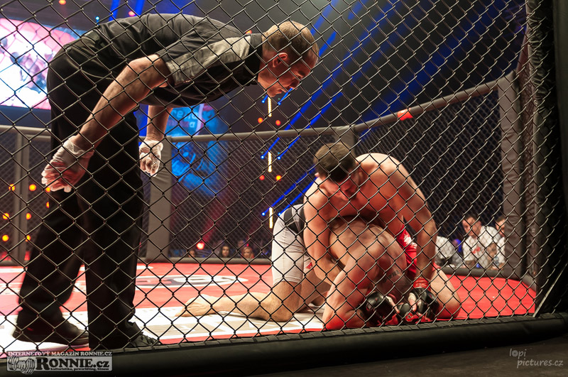 MMAA Arena 3