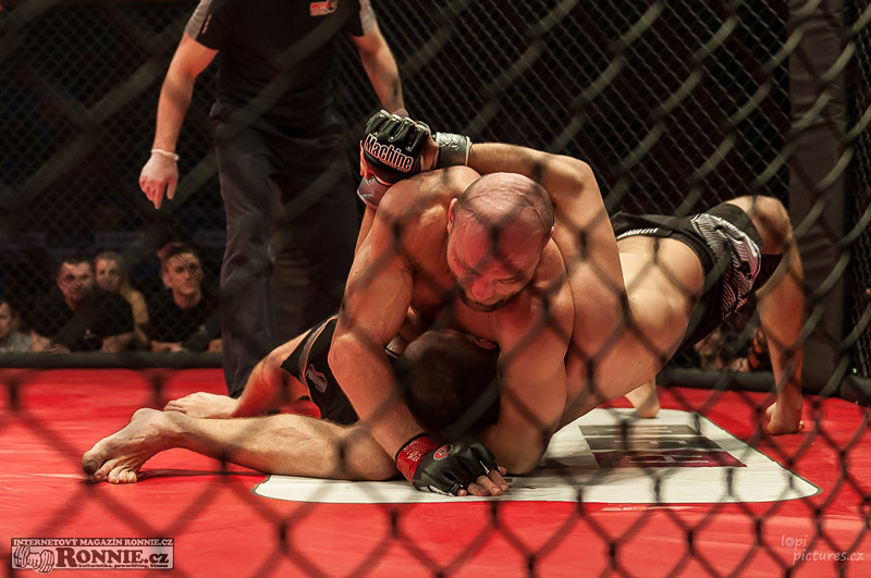 MMAA Arena 3