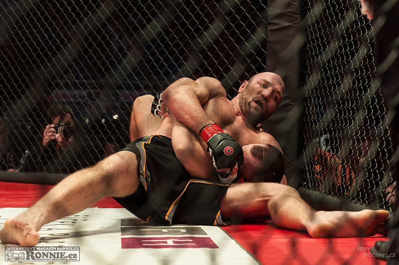 MMAA Arena 3