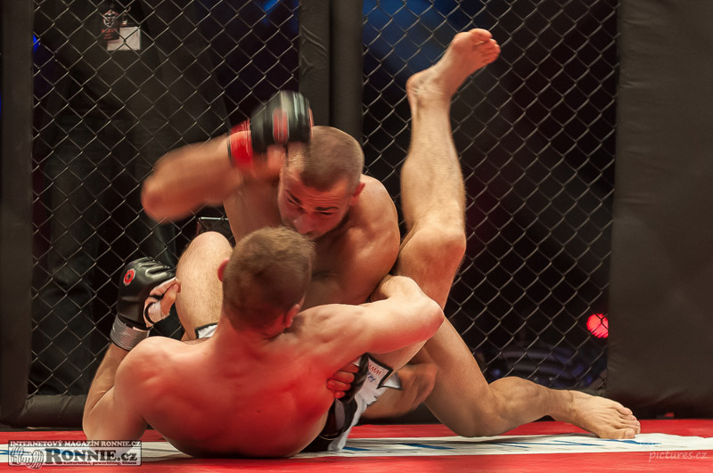 MMAA Arena 3