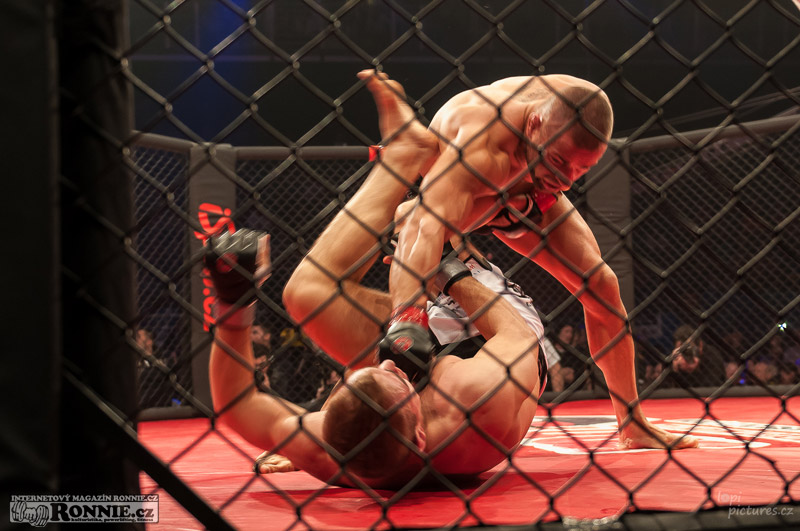 MMAA Arena 3