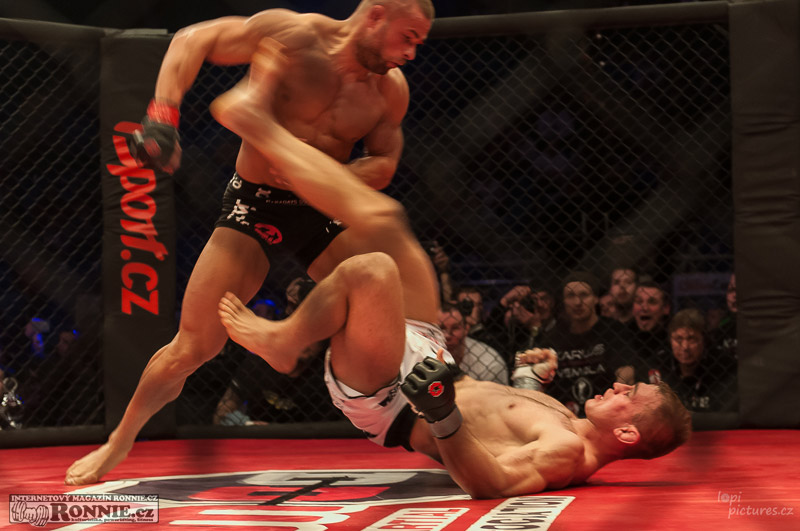 MMAA Arena 3