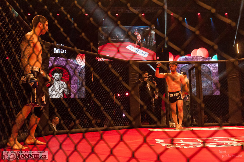 MMAA Arena 3