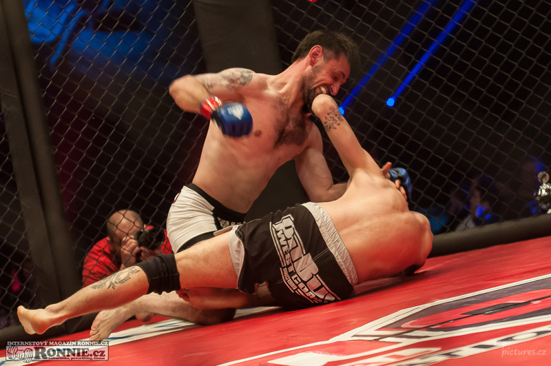 MMAA Arena 3