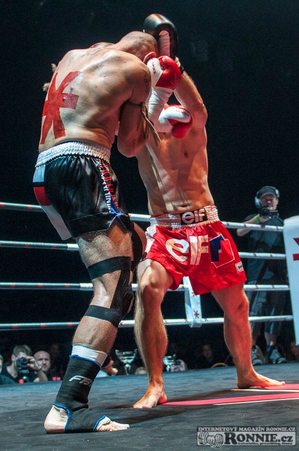 Gibu Fight Night