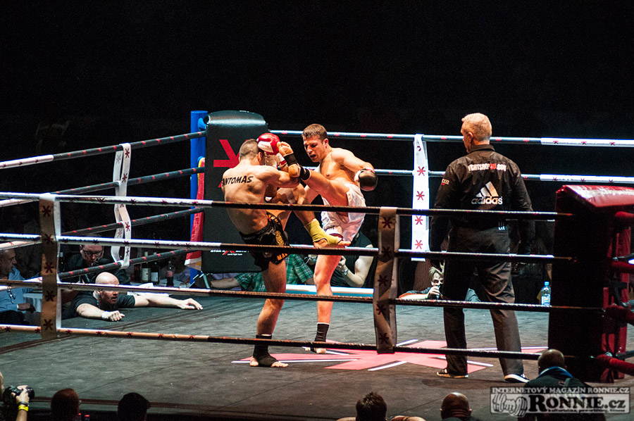 Gibu Fight Night
