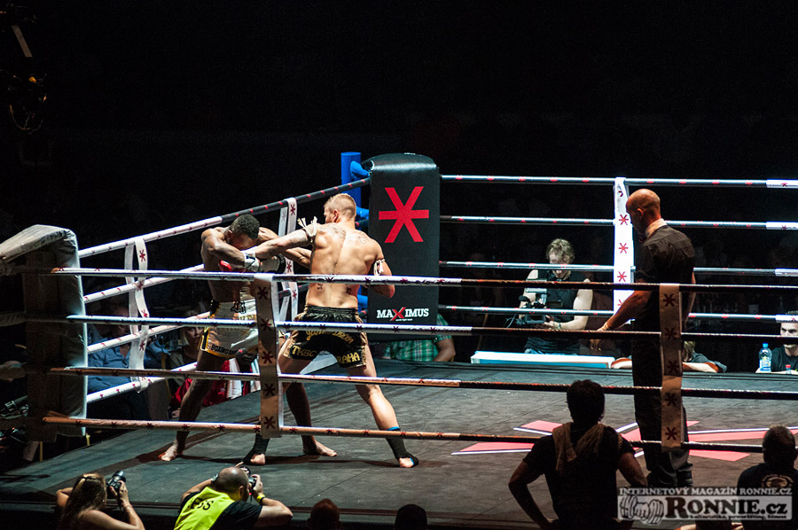 Gibu Fight Night