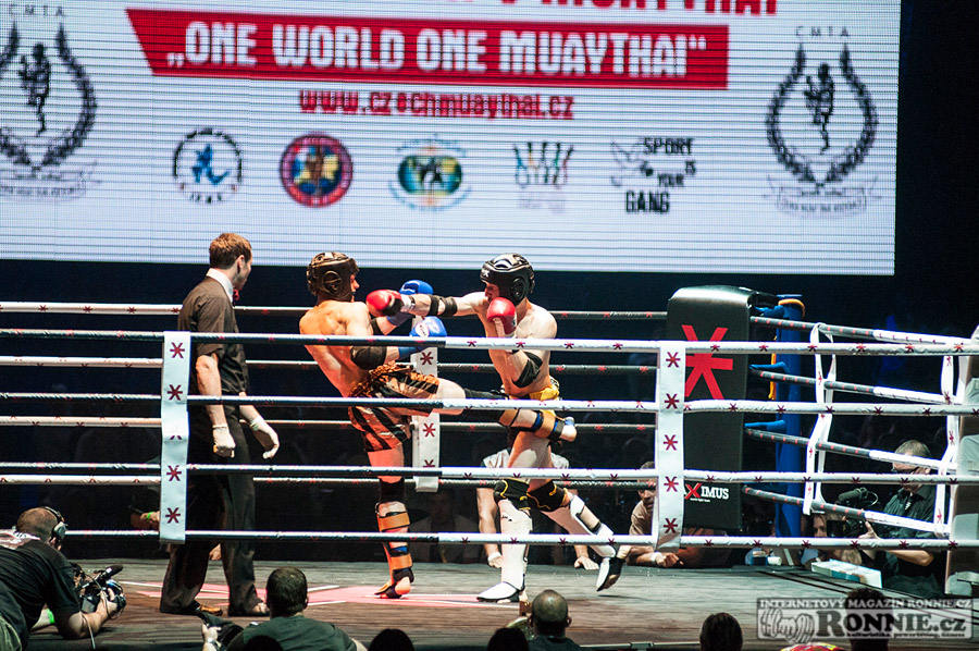 Gibu Fight Night