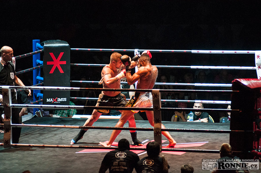 Gibu Fight Night