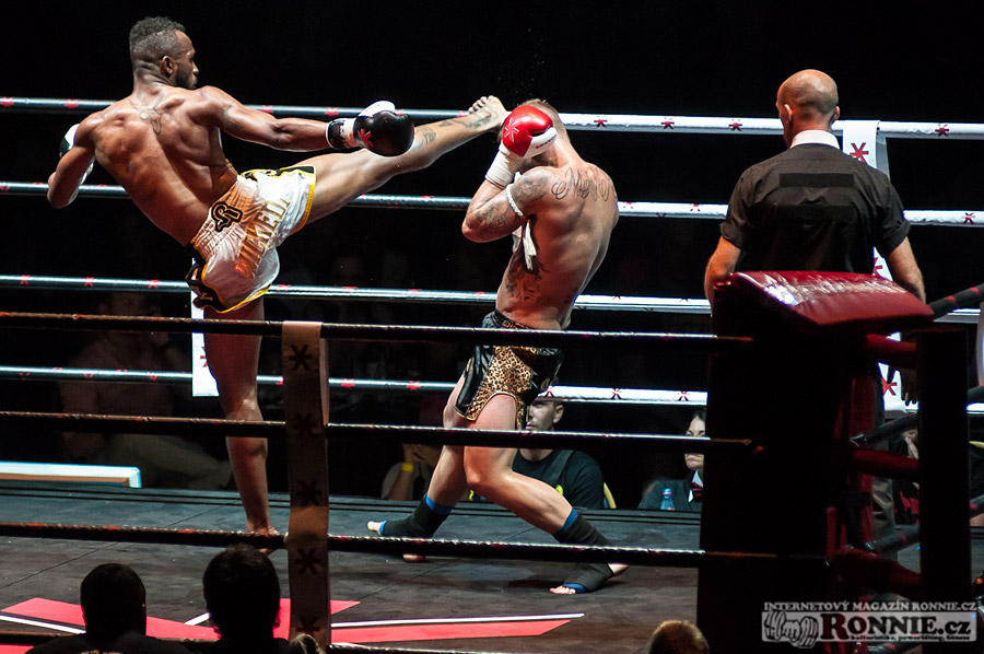 Gibu Fight Night