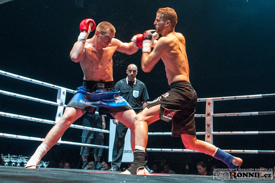Gibu Fight Night