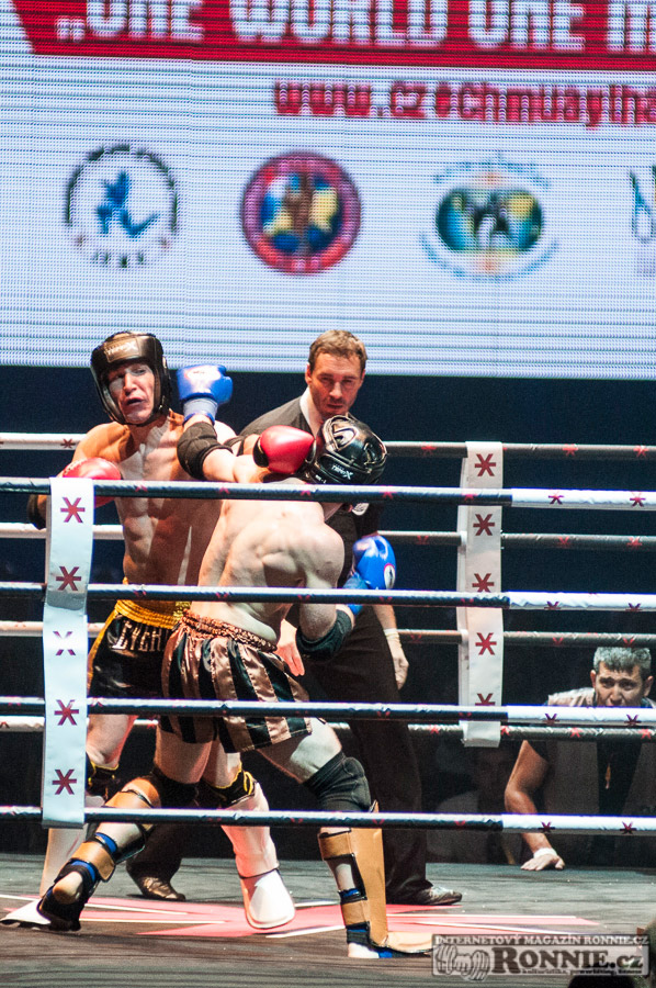 Gibu Fight Night