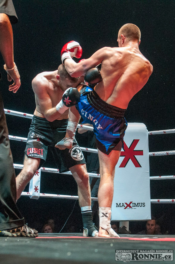 Gibu Fight Night