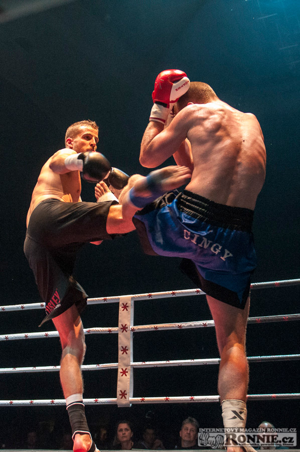 Gibu Fight Night