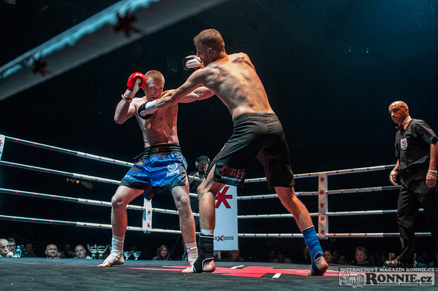 Gibu Fight Night