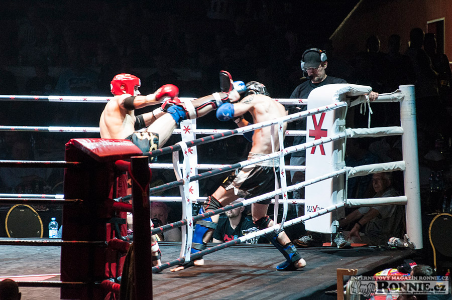 Gibu Fight Night