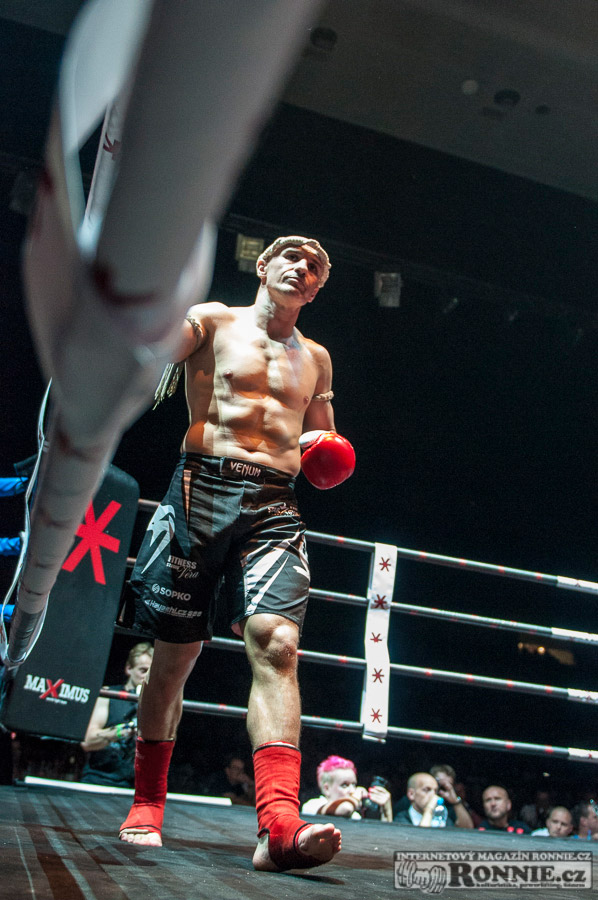 Gibu Fight Night