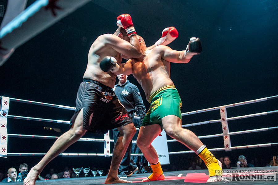 Gibu Fight Night