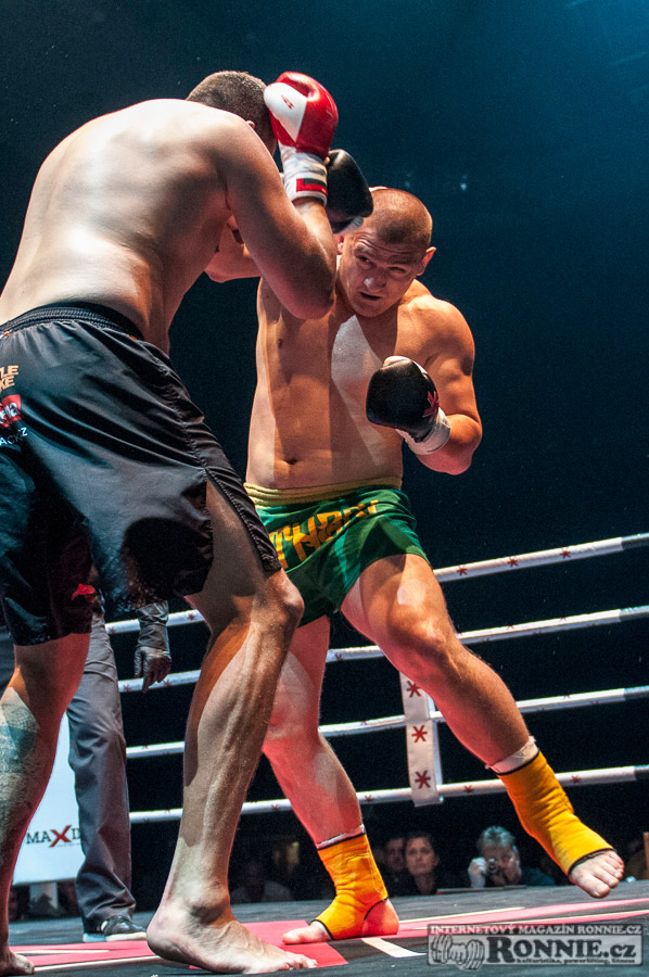 Gibu Fight Night