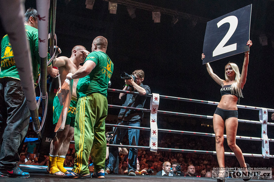 Gibu Fight Night