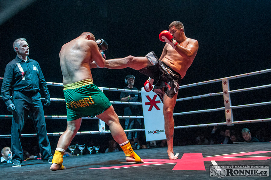 Gibu Fight Night