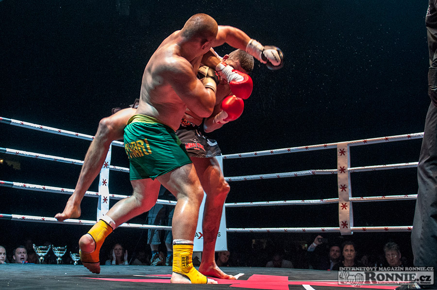 Gibu Fight Night