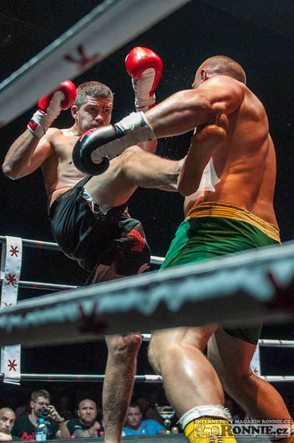 Gibu Fight Night