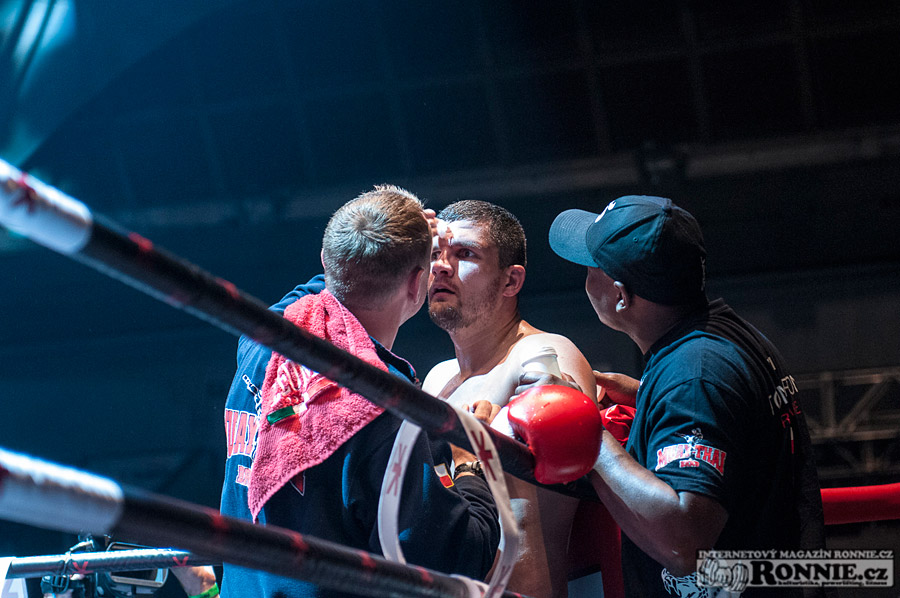 Gibu Fight Night