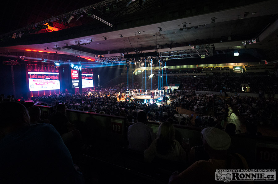 Gibu Fight Night