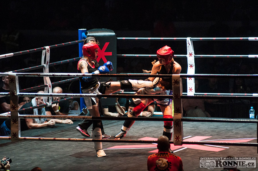 Gibu Fight Night