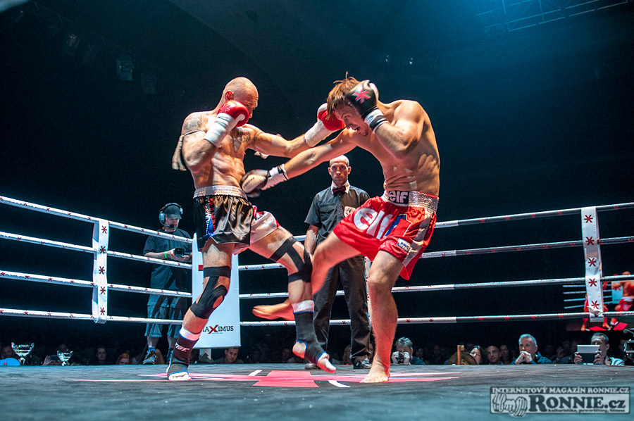 Gibu Fight Night