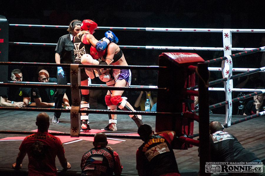 Gibu Fight Night