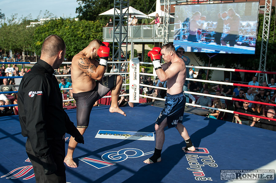 Yangame�s Fight Night