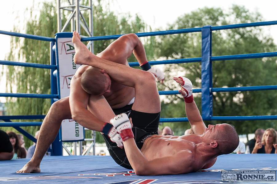 Yangame�s Fight Night